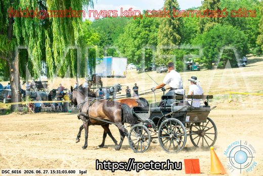 Mintakép 20260627-2316