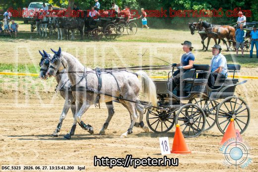 Mintakép 20260627-2361