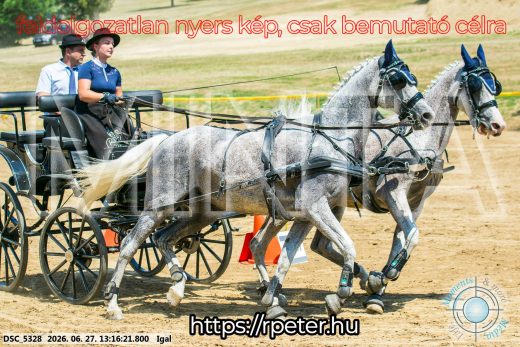 Mintakép 20260627-2363