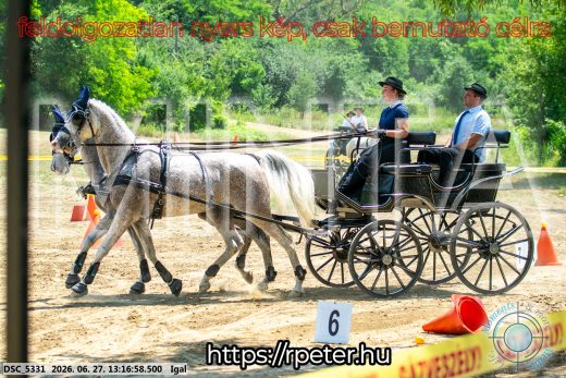 Mintakép 20260627-2365