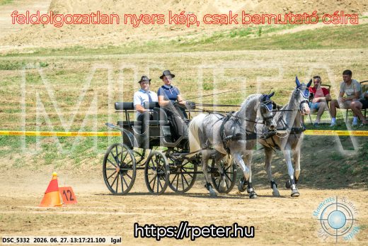 Mintakép 20260627-2366