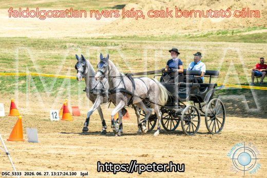 Mintakép 20260627-2367