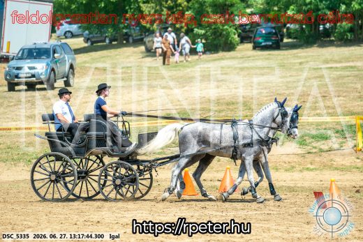 Mintakép 20260627-2368