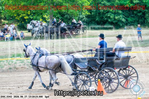 Mintakép 20260627-2370