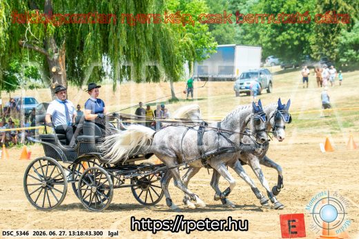 Mintakép 20260627-2373