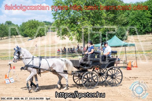 Mintakép 20260627-2375