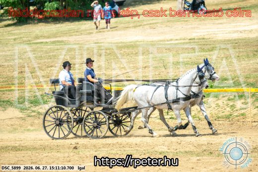 Mintakép 20260627-2376
