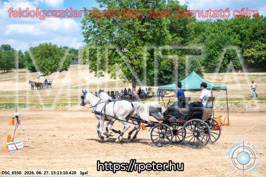 Mintakép 20260627-2387