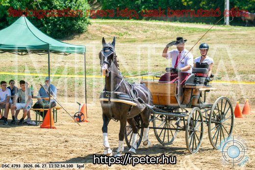 20260627-113234-DSC_4793.jpg
