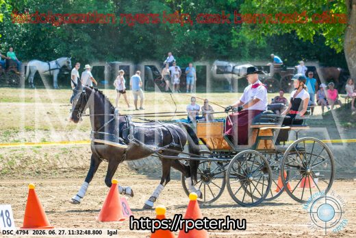 20260627-113248-DSC_4794.jpg