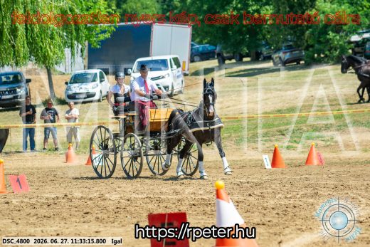 Mintakép 20260627-2394