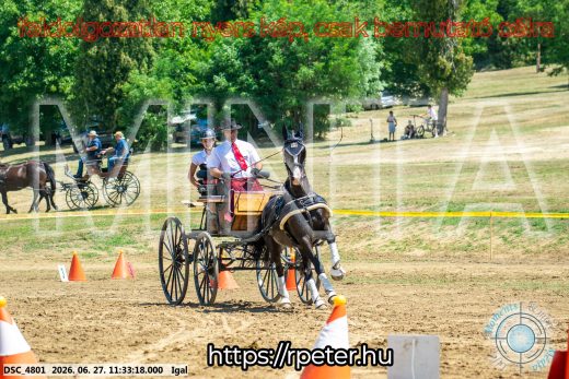 Mintakép 20260627-2395