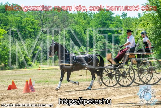 Mintakép 20260627-2397