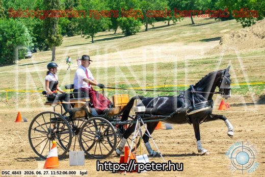 Mintakép 20260627-2419