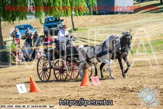 20260627-102436-DSC_4345.jpg