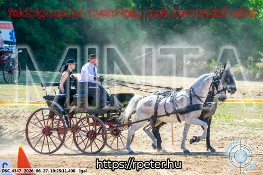Mintakép 20260627-2424