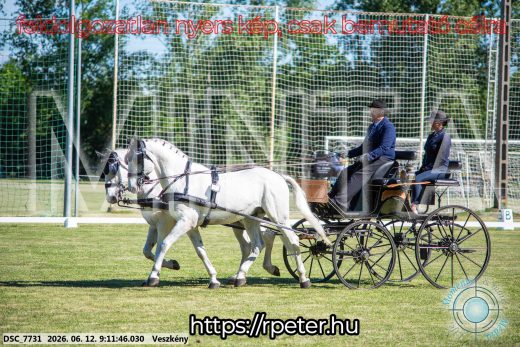 Mintakép 20260612-79