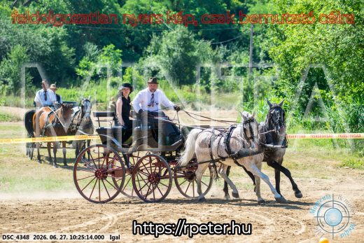 Mintakép 20260627-2425