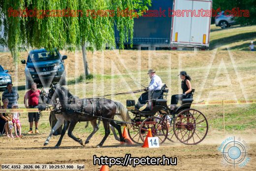 Mintakép 20260627-2428