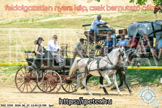 Mintakép 20260627-2436