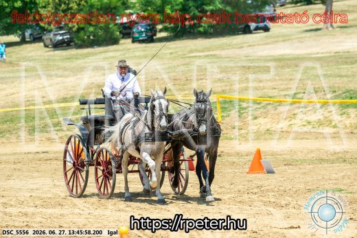 Mintakép 20260627-2439