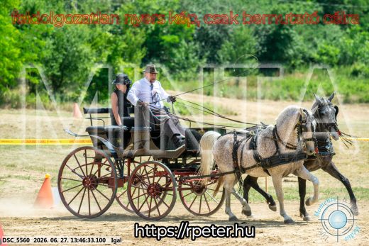 Mintakép 20260627-2441
