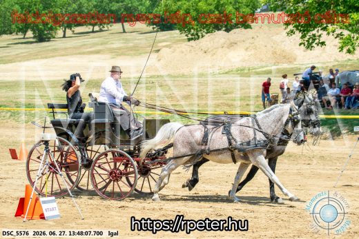 Mintakép 20260627-2449