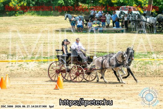 Mintakép 20260627-2451