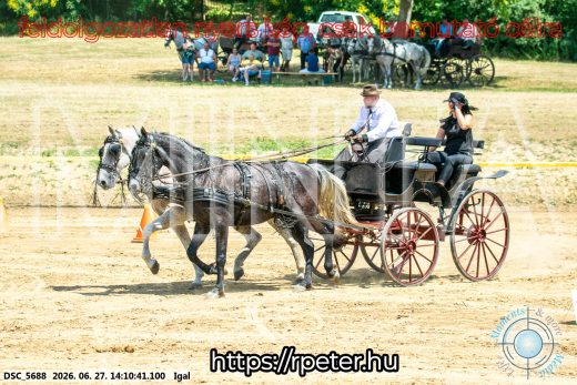 Mintakép 20260627-2453