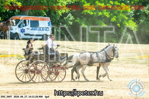 Mintakép 20260627-2459