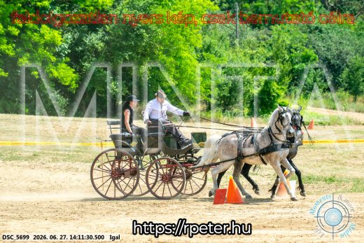 Mintakép 20260627-2461