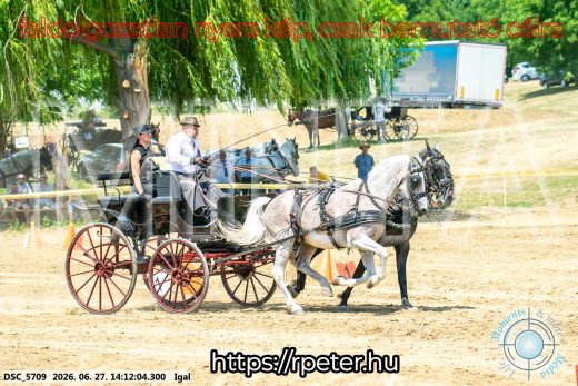 Mintakép 20260627-2466