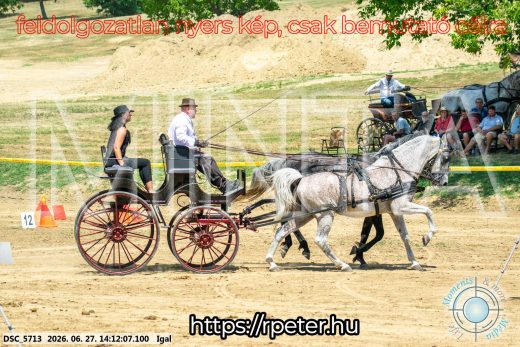 Mintakép 20260627-2469