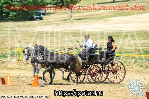 Mintakép 20260627-2470