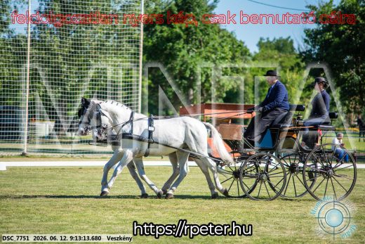 Mintakép 20260612-94