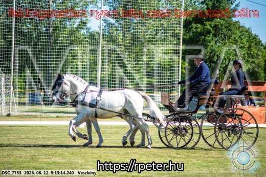 Mintakép 20260612-96