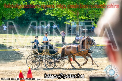 Mintakép 20260627-2484