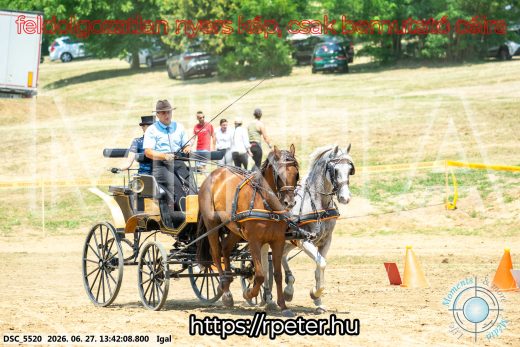 Mintakép 20260627-2489
