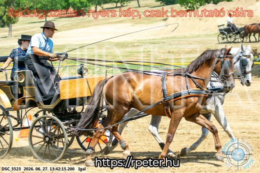 Mintakép 20260627-2491