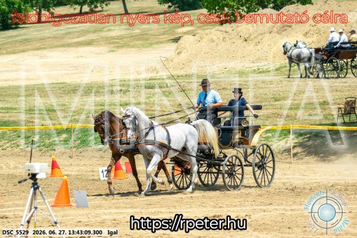 Mintakép 20260627-2494