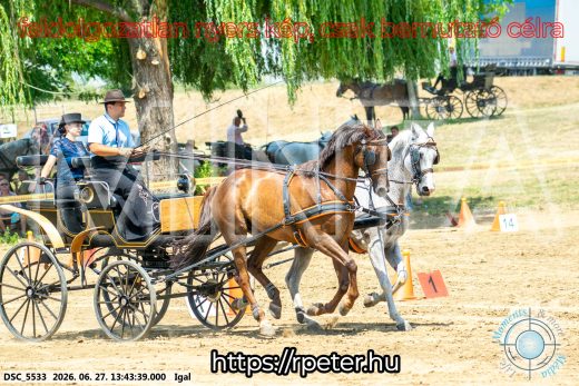 Mintakép 20260627-2497