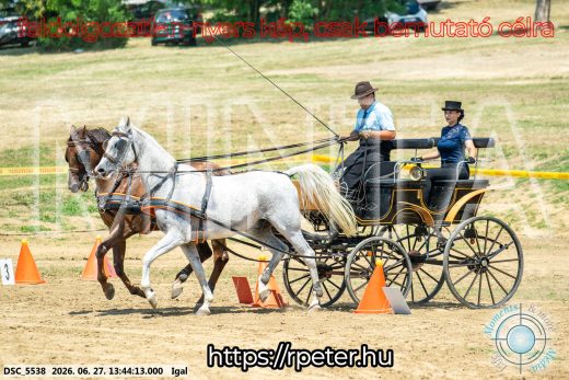 Mintakép 20260627-2499