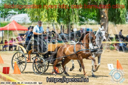 Mintakép 20260627-2501
