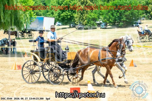 Mintakép 20260627-2504