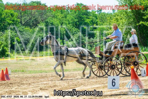 Mintakép 20260627-2510