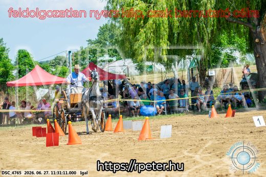 Mintakép 20260627-2515