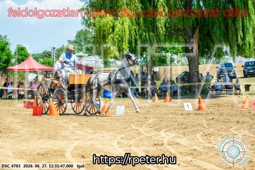 Mintakép 20260627-2526