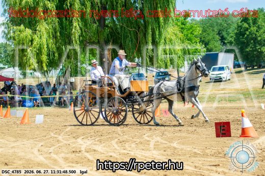 Mintakép 20260627-2528