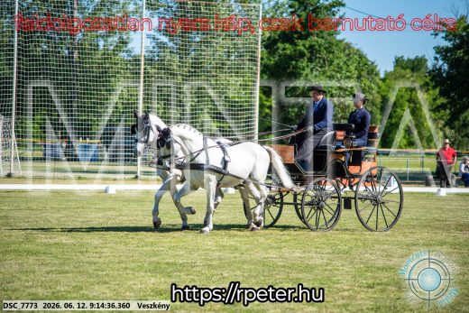 Mintakép 20260612-118