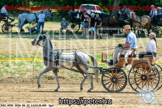Mintakép 20260627-2549
